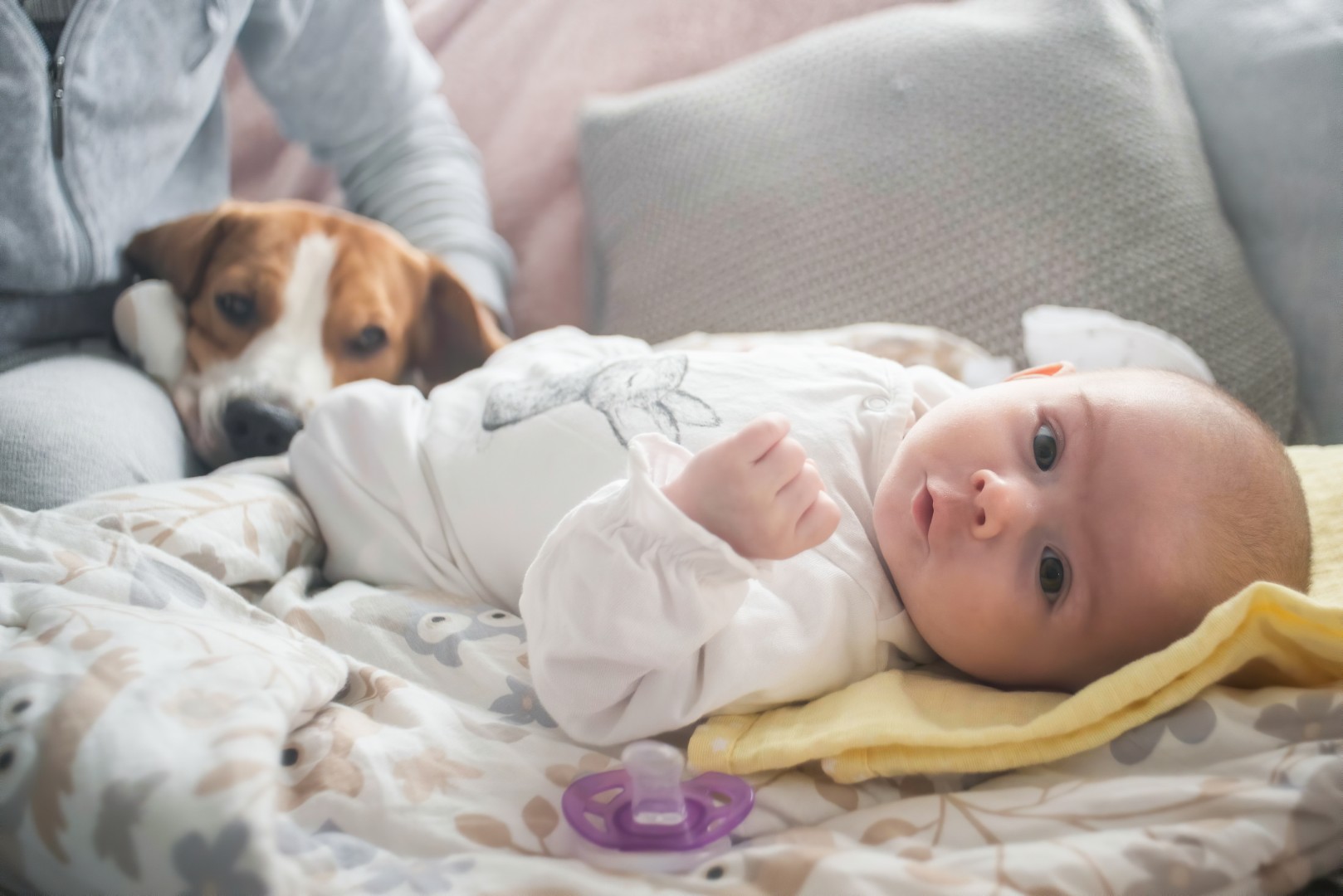 Dog and baby preparation training