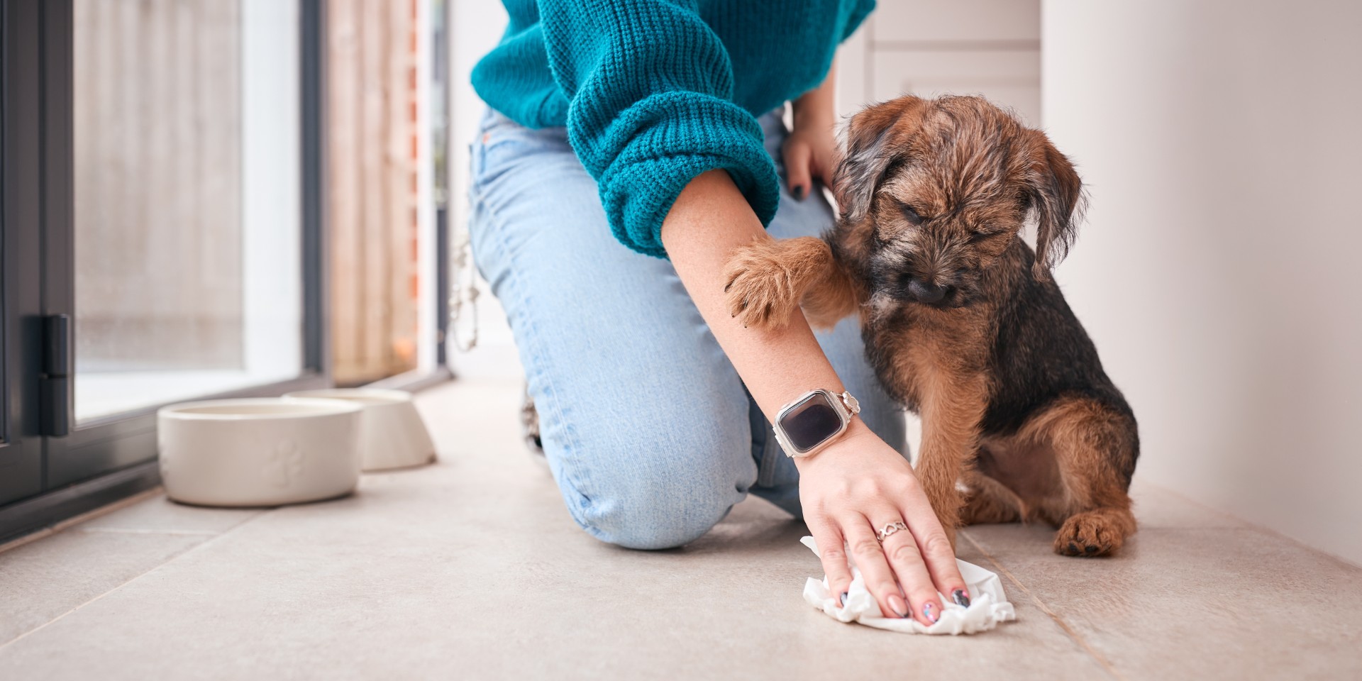 Puppy settling and training